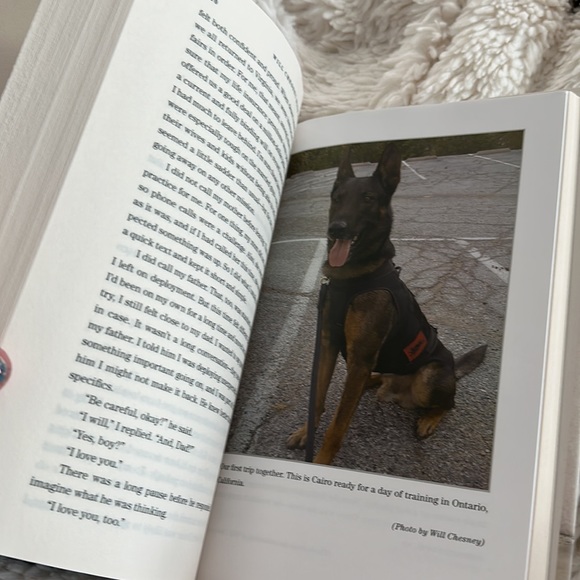 No Ordinary Dog - Picture 10 of 14